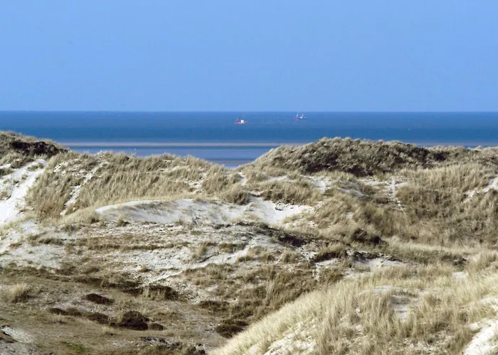 Apartment 6 Person In Fano-by Traum *